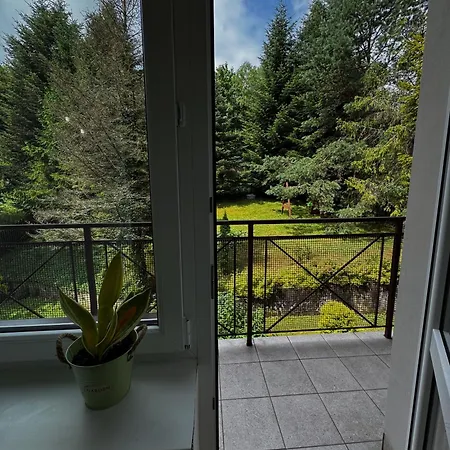 Willa Krynica فندق مبيت وإفطار كرينيتسا زدروي