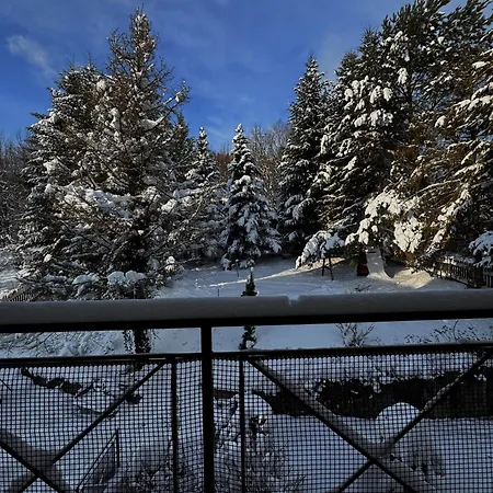 Willa Krynica كرينيتسا زدروي